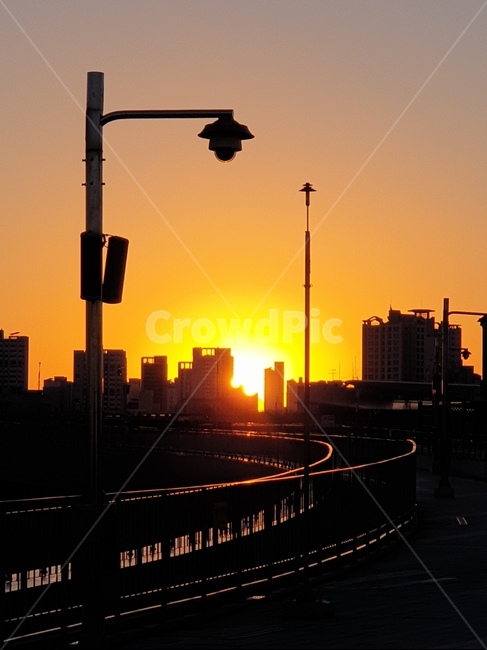 석양,노을,가로등,도시,주황,세종시,해질녘,도시,풍경,city,landscape,실루엣,그림자,silhouette,shadow,light,빛,flare,플레어