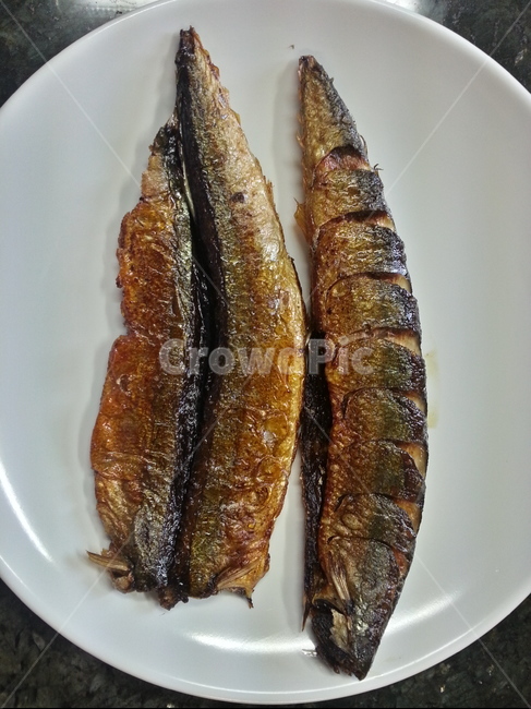 생선,꽁치,바다물고기,생선반찬,꽁치반찬