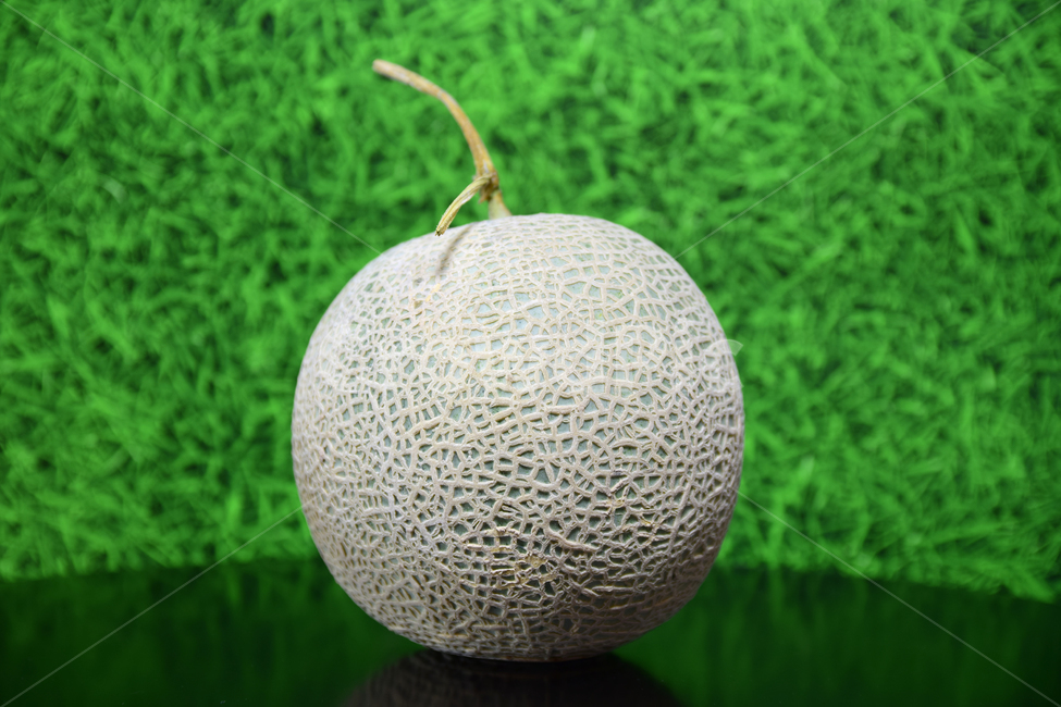 멜론,메론,과일,열매,열대과일,반영,박과,melon,fruit,food,plant,음식,식재료,요리,food,cook,meal,dishes,food reserves,과일,열매,fruit