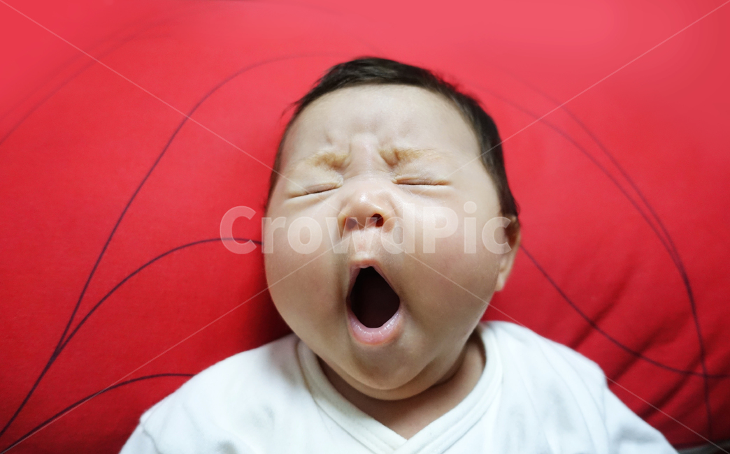 신생아,아기,아가,하품,피곤,얼굴,표정,졸린,애기,육아,영유아,아이,귀여운,피곤한,사람,인물,인간,human,person,얼굴표정,facial expression,face,영유아,아기,애기,아이,infants,baby,감정표현,기분,feeling,emotion