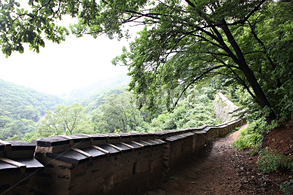 남한산성,성,성곽,길,둘레길,벽,숲길,숲,담,돌담,풍경,여름