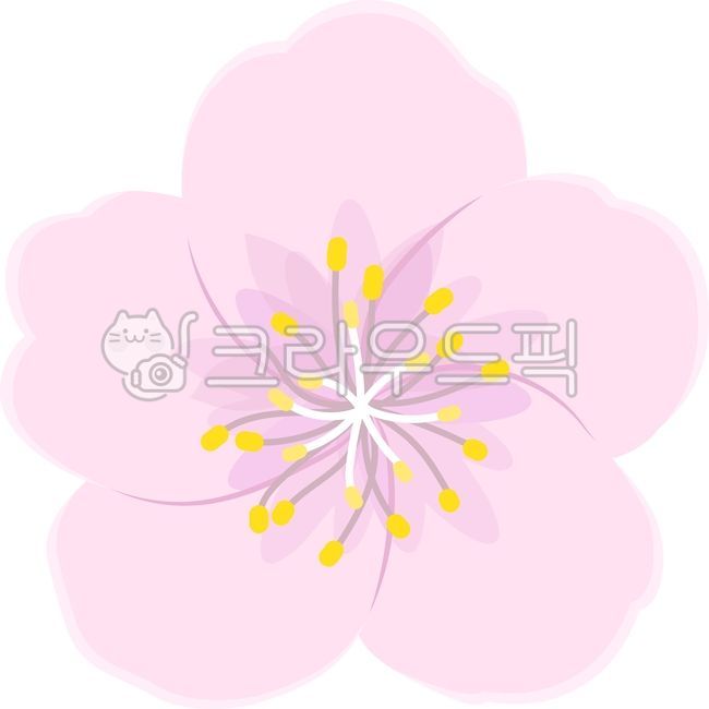 flower,flower,flower bouquet,cherry blossom,cherry blossom,cherry blossom tree,cherry blossom tree,cherry blossom tree,cherry,blossom,blossom,cherry blossom,cherry blossom,spring,spring flower,spring tree,flower bud,flower bud,Japan,sakura,cherry blossom 