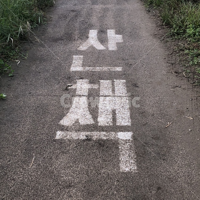 걷기,산책,공원,데일리,걷기운동