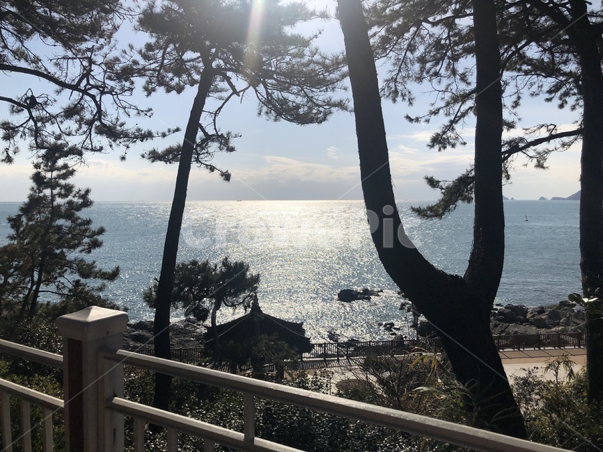 풍경,바다,부산,경치,동백섬