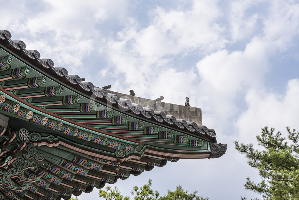처마,단청,한국의미,여름날,전통사진,한옥,소나무,나무,녹색,koreatraditional,koreanculture,한국의색,인테리어,건축,건물,architecture,building,건축물