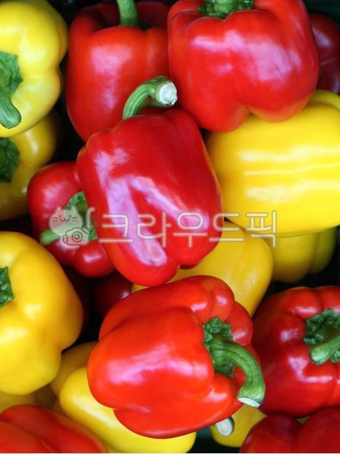 음식재료,파프리카,노란파프리카,빨간파프리카,bellpepper,피망,vegetable,채소,food,음식