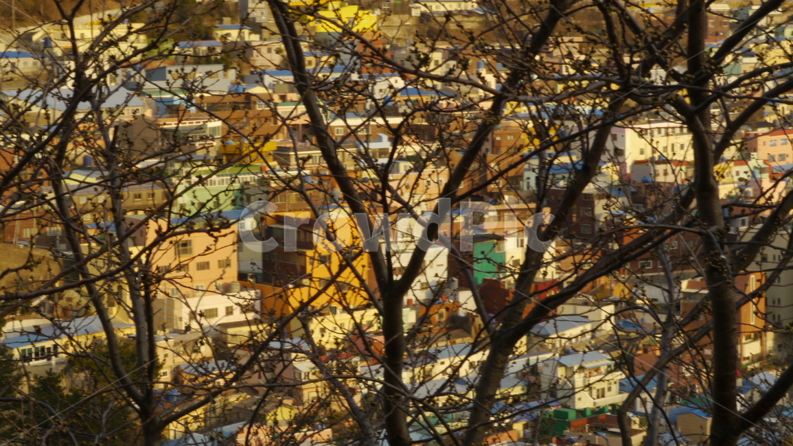 감천문화마을,부산,마을,노을,산동네
