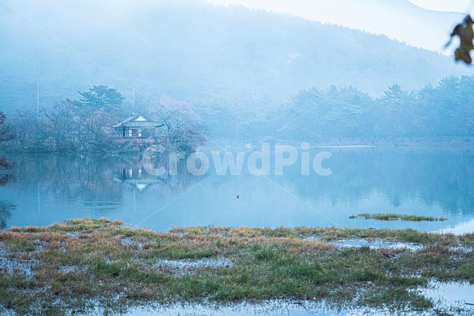 위양지,물,호수,나라,자연,nature,옥외,water
