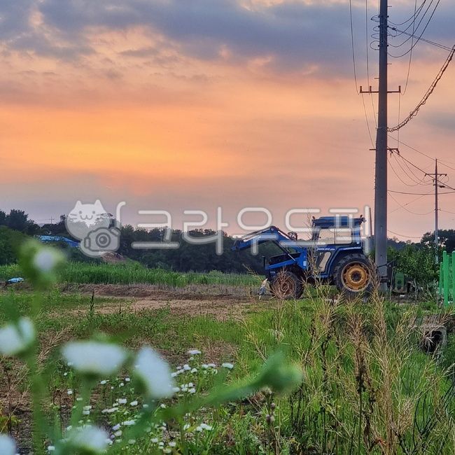 시골뷰,포크레인,트랙터,파란트랙터,시골트랙터,노을,노을진하늘,노을뷰,붉은노을,전봇대,밭뷰,시골밭,흰색꽃,하얀꽃,주차,트랙터주차,중장비,트렉터