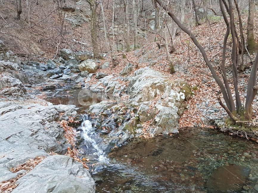 바위,산속,나무,가을,계곡