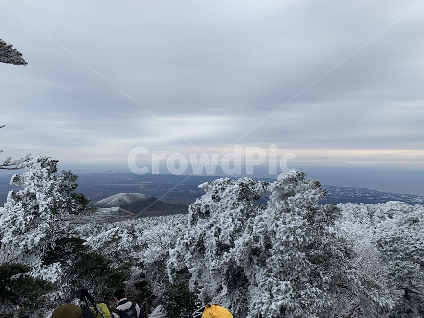 제주,제주도,산,설산,겨울,한라산,자연,풍경,눈,식물,나무