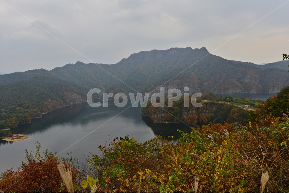 tree,나무,plant,식물,leaf,잎,maple,단풍,화순,적벽,화순적벽,적벽가을,계절,추색,만추,가을,nature,자연,outdoors,옥외,물,강
