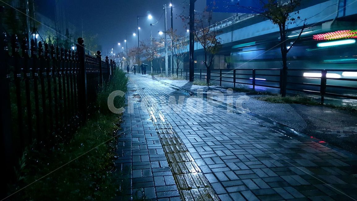 비,풍경,야경,버스,도로,야경,밤,풍경,nightscape,night,landscape,비,비오는날,rain,rainy,walkway,보도,path,통로,sidewalk,pavement,포장