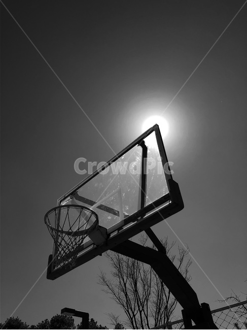 흑백,태양,햇빛,농구,농구골대,흑백,모노톤,monochrome,black and white