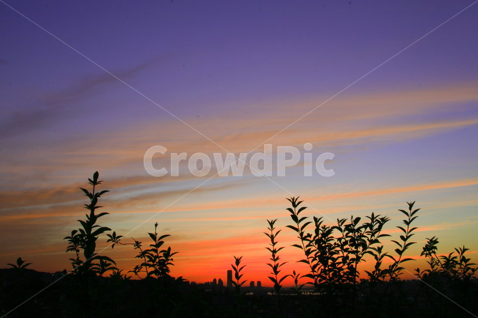 저녁노을,노을,하늘,색감,컬러,color,sky,dusk,자연,풍경,nature,landscape,색깔,색상,색채,색감,color sense,color sensitivity,feeling of color,outdoors,옥외,red sky,붉은 하늘,황혼,dawn,새벽,sunset,일몰