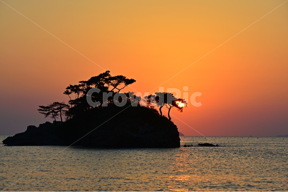 전북,부안,솔섬,소나무,용,용머리,해,입에물다,nature,자연,outdoors,옥외,land,땅,ocean,대양,sea,바다,water,물,shoreline,해안선,sunset,일몰,redsky,붉은하늘,sky,하늘,dusk,황혼,자연,풍경,nature,landscape,한국자연풍경,한국자연경관,korea nature landscape