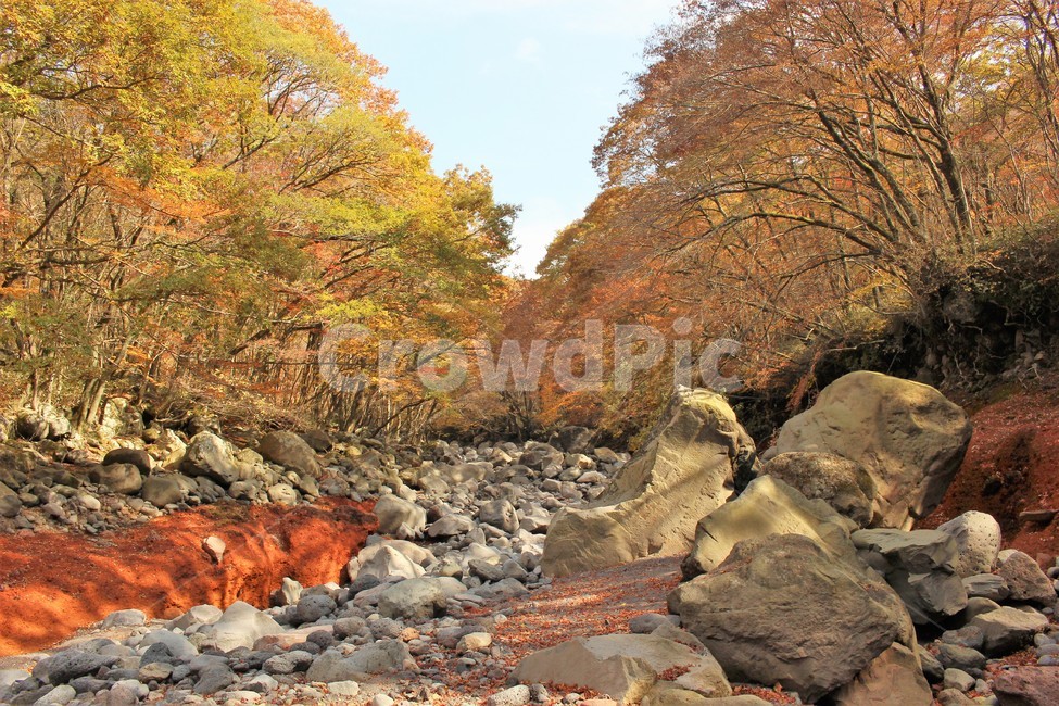 제주도,한라산,계곡,가을,단풍,가을,계절,fall,autumn,season,자연,풍경,nature,landscape,rubble,파편,plant,식물,tree,나무