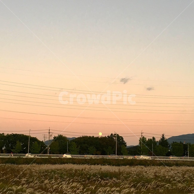 노을,가을,갈대,갈대밭,자연,바람,보름달,대구,감성사진,파스텔,배경,배경이미지,풍경이미지,한국자연경관,배경사진,풍경사진,식물,구름,나무,fall,breeze,healing,sentinental,sunset,autume