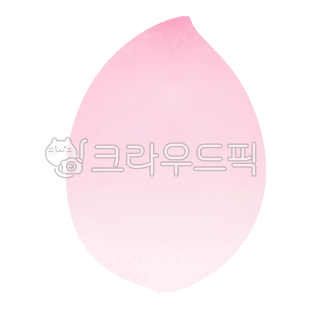 벚꽃잎,벚꽃,꽃잎,벚꽃잎그림,cherryblossom,petal,벚꽃잎한장,꽃잎한장,봄꽃