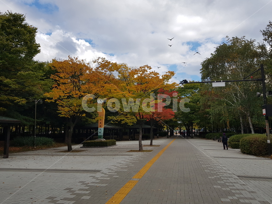 자연,풍경,가을,하늘,구름,공원,nature,fall,autumn,나무,tree,park,sky