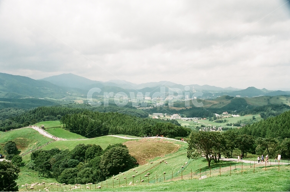 필름사진,필름,fm2,산,여행,목장,자연,풍경,nature,landscape,outdoors,옥외,field,들,scenery