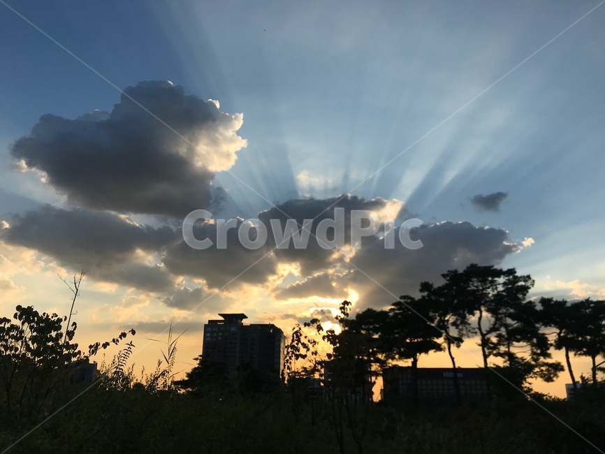하늘,햇빛,날씨,빛,sky