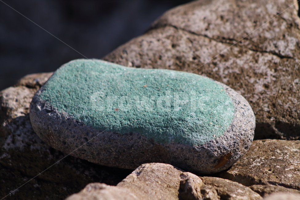 소매물도,돌,몽돌,stone,island,자연,풍경,nature,landscape,snake,뱀,animal,동물,rock,록