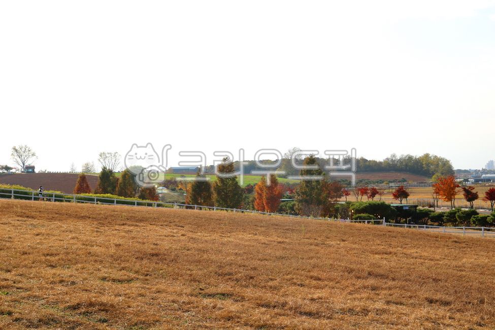 안성팜랜드,공원,농원,초원,벌판,흙,밭,농장,농사,나무,식물,자연,하늘,맑은하늘,푸른하늘,산책로