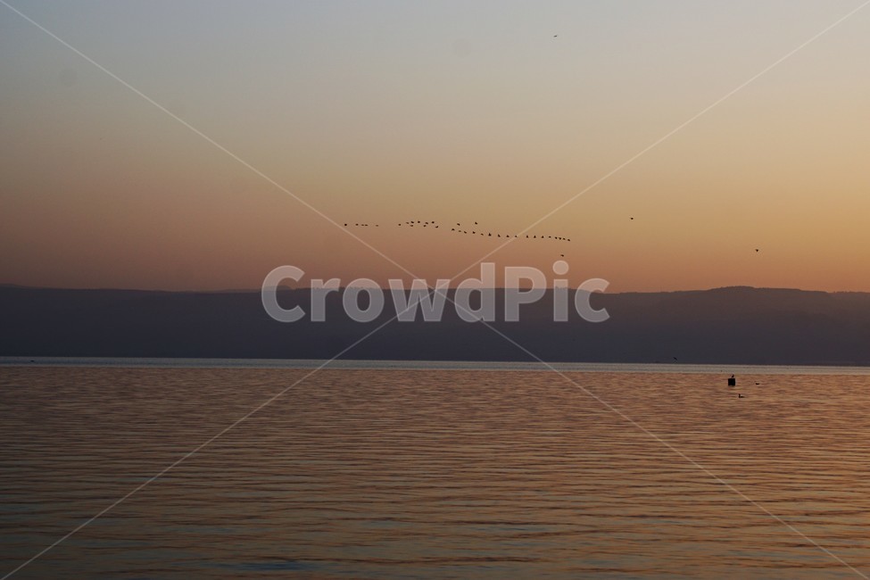 일출,철새,하늘,호수,물,태양,자연,풍경,nature,landscape,outdoors,옥외