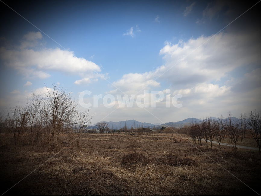 winter,sky,tree,하늘,겨울,나무,겨울,계절,winter,season,자연,풍경,nature,landscape,outdoors,옥외