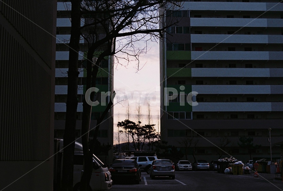 아파트,복도,차,주차장,자동차,건물,나무,자연,도시,풍경,city,landscape,한국도시풍경,한국도시경관,korea cityscape,asphalt,아스팔트,road,도로,automobile,transportation,교통,vehicle,차량,car