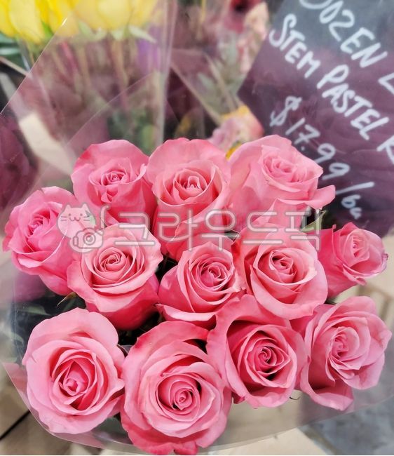 gift,birthday,love,pink,200 days,300 days,flowerbouquet,weddinganniversary,thanks,Christmas Eve,Valentines Day,flowerarrangement,Propose,graduation,graduate,event,White Day,Teachers day,whiteday,Anniversary,bouquet,flower arrangement,valentine,Mothers Day