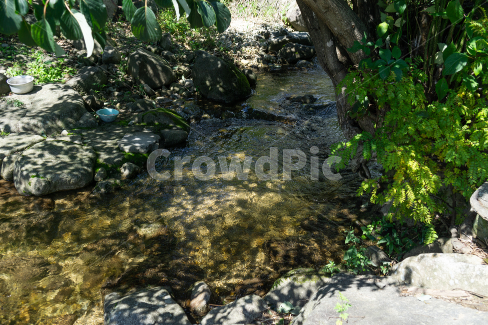 계곡,우물,물,그림자,시원함,여름,물소리,자연,풍경,nature,landscape,water,outdoors,옥외,stream,흐름,creek,작은 만
