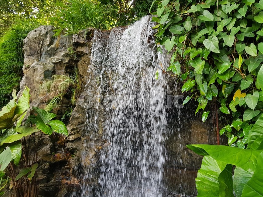 물,폭포,자연,초록색,식물,자연,풍경,nature,landscape,water,river,강,outdoors,옥외,waterfall