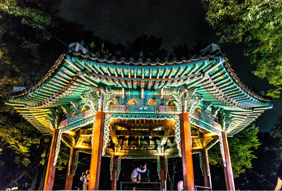야경,문화재,전통,팔각정,조선시대,야경,밤,풍경,nightscape,night,landscape,한국전통,한국문화,korean traditional,korean culture,건축물,건물외관,exterior,building,structure,architecture,construction,건물