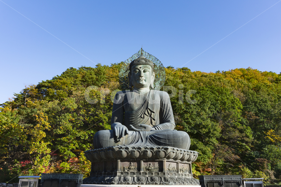 풍경,자연,설악산,단풍,권금성,속초,강원도,정상,경관,장관,산,나무,봉우리,능선,전망,가을,등산,국립공원,명소,바위,하늘,경치,고산지대,협곡,울산바위,야외,불상,조각상,동상,석상,조형물,statue,bronze statue,stone statue