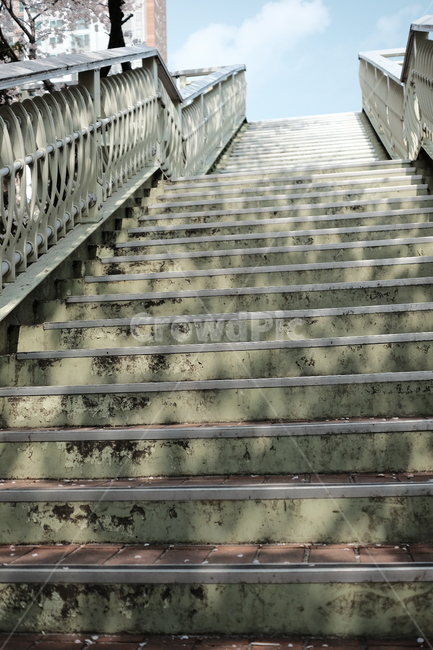 육교,계단,난간,staircase,봄,꽃잎