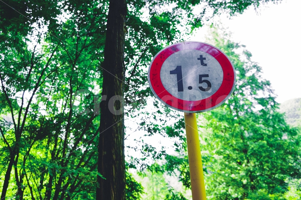 교통,자연풍경,식물,휴식,여행,힐링,감성사진,교통,교통수단,traffic,transportation,sign,기호,road sign,도로 표지판