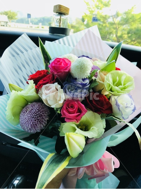 꽃,꽃다발,사랑,행복,아름다운,식물,꽃꽃이,flower,기념일,축하,anniversary,congratulation,celebrate,celebration
