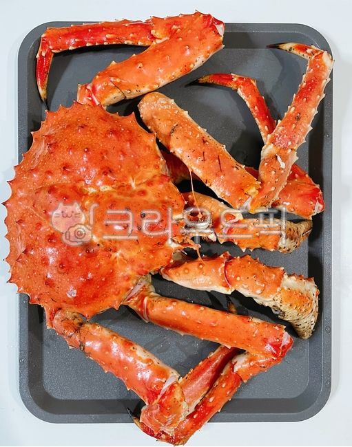 킹크랩, 대게, 게, 찜, 대게찜, 사진,이미지,일러스트,캘리그라피 - 먹방작가
