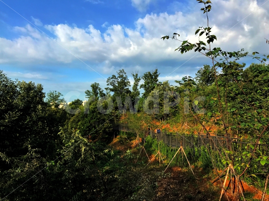 자연,산책로,하늘,아이폰,숲,산,나무,등산,등산길,산책,새벽,자연,풍경,nature,landscape