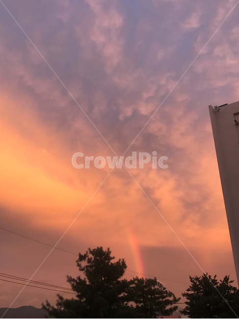 노을,해질녘,무지개,하늘,석양,sunset,rainbow,붉은,붉은하늘,소나무,풍경,저녁,선셋,주황색,감성,구름,신비로운