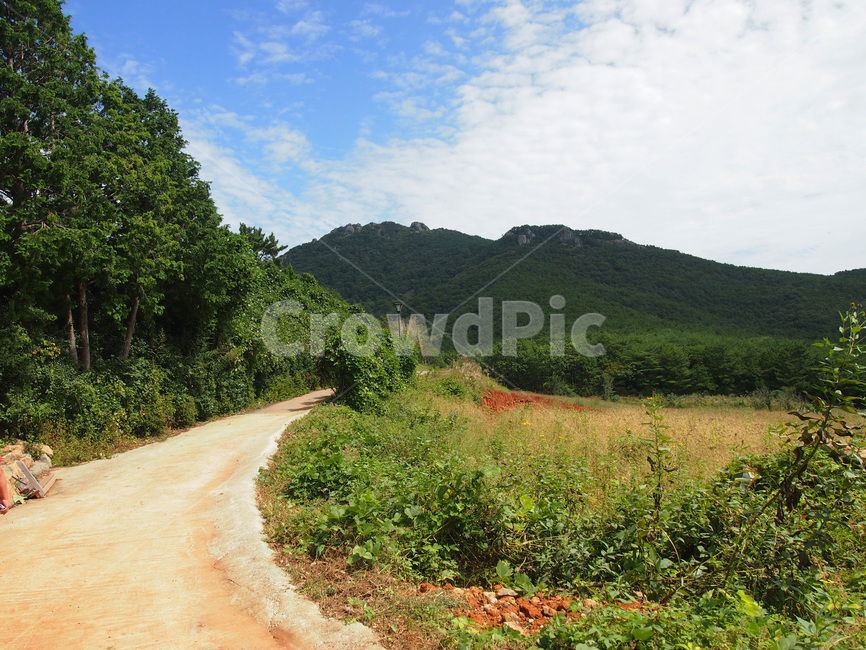 자갈,흙길,박경리문학관,gravel,nature,옥외,도로