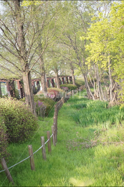 신정호수,물,나무,봄,연두,아침,자연,풍경,nature,landscape,휴식,힐링,rest,relaxation,healing,plant,식물,tree,outdoors,옥외