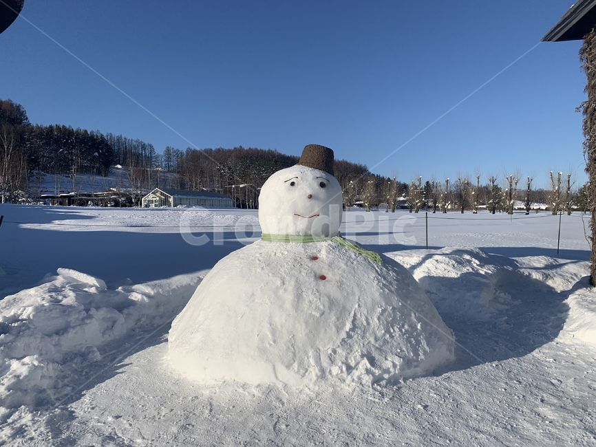 비에이,눈사람,설원,설경,자연,snowman,겨울,winter,겨울,계절,winter,season