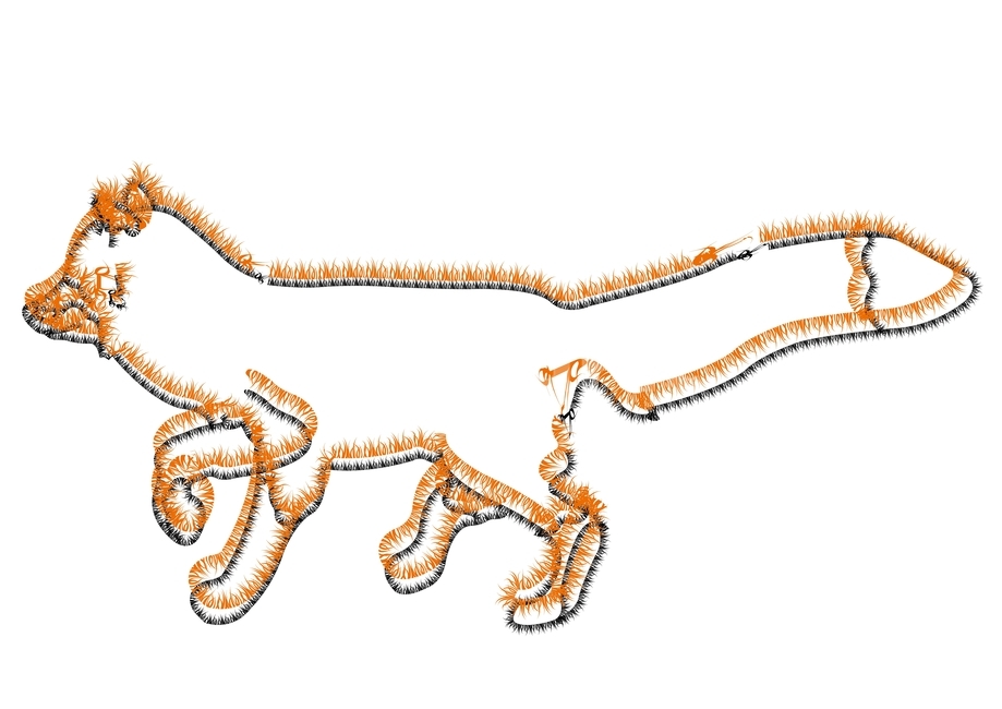 여우,여우일러스트,여우그림,일러스트,동물,동물일러스트,그래픽,일러스트레이션,graphic,illustration