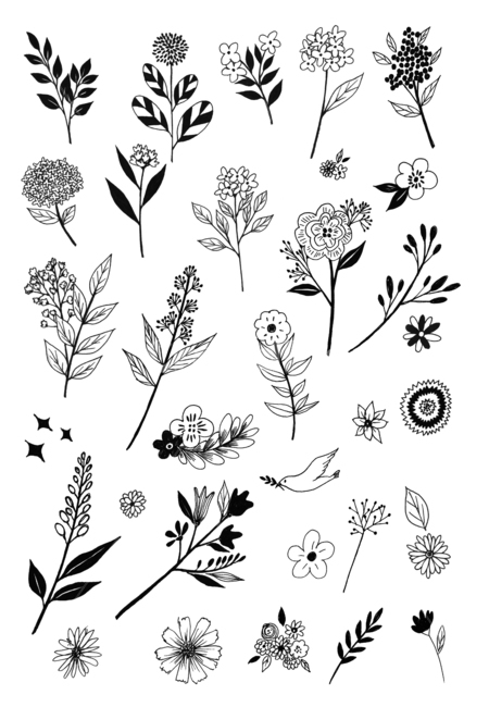 손그림,handdrawing,팬그림,팬라인,pen,penline,penpicture,pendrawing,plant,식물,꽃,flower,bloom,blossom,나뭇잎,leaf,foliage,umbrage,나뭇가지,bough,twig,sprig,branch,봄,spring,새,bird,springtime