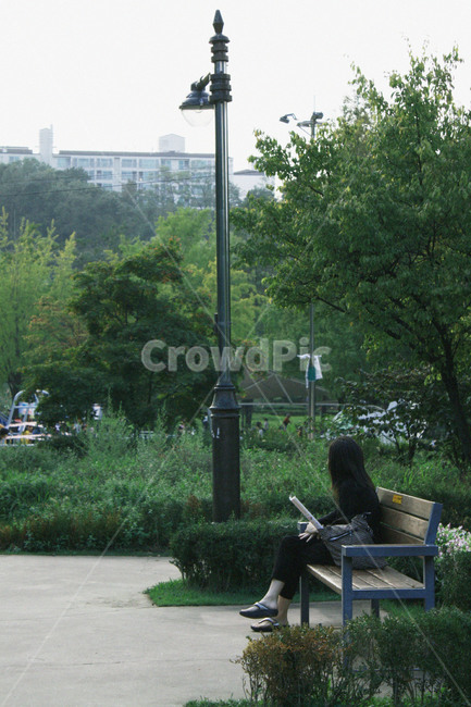 벤치,공원,가로등,나무,책,독서,사람,인물,인간,human,person,여성,여자,woman,female,lady