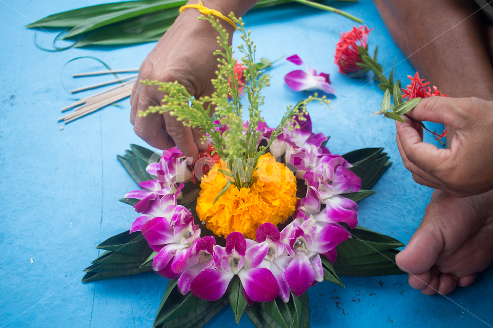 plant,식물,blossom,flowerbouquet,꽃꽂이,flowerarrangement,꽃부케,flower,꽃,태국,식물,자연,plants,nature,꽃,flower