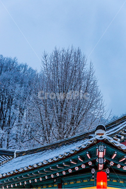 고택,문양,무늬,청사초롱,전통,기와,설경,겨울,계절,winter,season,한국전통,한국문화,korean traditional,korean culture,건축물,건물외관,exterior,building,structure,architecture,construction